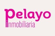 Inmobiliaria Pelayo S L
