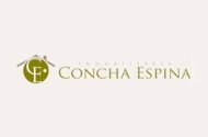 INMOBILIARIA CONCHA ESPINA
