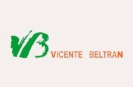 Inmobiliaria Vicente Beltrán