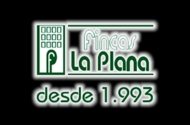 Fincas la Plana