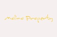 Molino Property