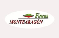 Fincas Montearagón