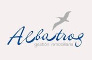Albatros