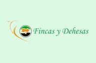Fincas Y Dehesas