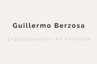 Guillermo Berzosa