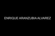 Enrique Aranzubia Alvarez