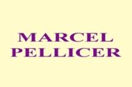 Marcel Pellicer
