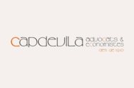 Capdevila Advocats & Economistes