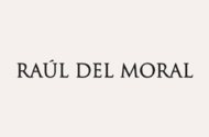 Raúl del Moral & Asociados