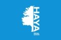 Haya Real Estate