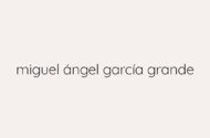 Miguel Angel Garcia Grande
