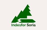 Idesfor Soria