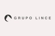Grupo Lince
