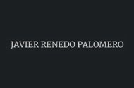 Javier Renedo Palomero