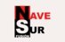 NAVESUR FUSION S.L.
