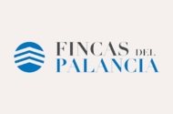 FINCAS DEL PALANCIA
