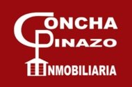 CONCEPCIÓN PINAZO SÁEZ