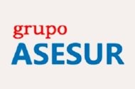 GRUPO ASESUR