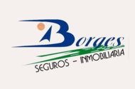 BORGES SEGUROS INMOBILIARIA