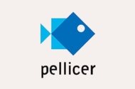 VENTAS PELLICER, S.L.