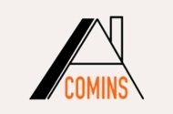 JOSE ANTONIO COMINS RENAU