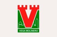 GRUPO INMOBILIARIO VEGA MOLINERO
