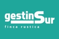 GESTINSUR