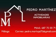 Pedro Martinez