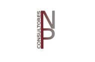 NP CONSULTOR INMOBILIARIO