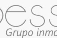 Esse Grupo Inmobiliario