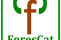 Forescat
