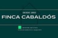 Luis Baratto Casadevall