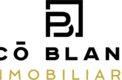 Picó Blanes Inmobiliaria