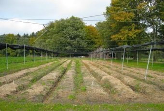 Trámites para vender un terreno urbano, urbanizable o rústico