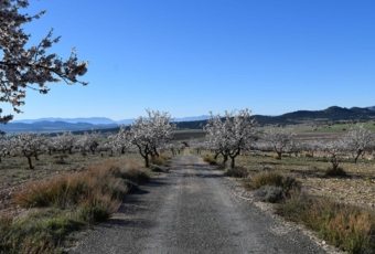 Propiedad del Suelo: Derechos y Deberes