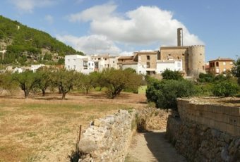 La despoblación del medio rural español agrícola y las medidas políticas para frenarla