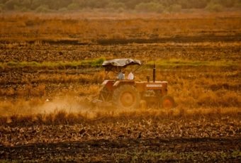 Inspección de trabajo en el campo de España ¿Cómo actúa en el suelo rústico?