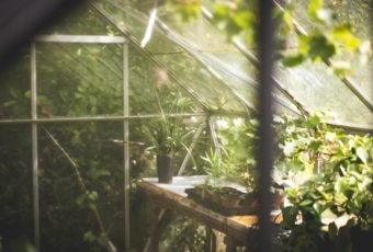 Invernaderos rentables para tu terreno ¿Cómo sacarles rentabilidad?