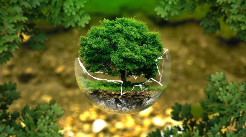 Agricultura ecológica en España, ¿es la agroecología una tendencia futura o una realidad?
