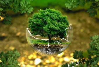 Agricultura ecológica en España, ¿es la agroecología una tendencia futura o una realidad?