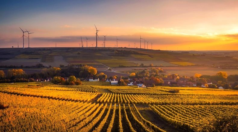 Agricultura regenerativa en España, el proceso sostenible definitivo