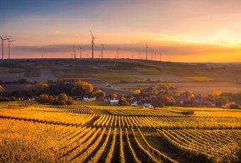 Agricultura regenerativa en España, el proceso sostenible definitivo