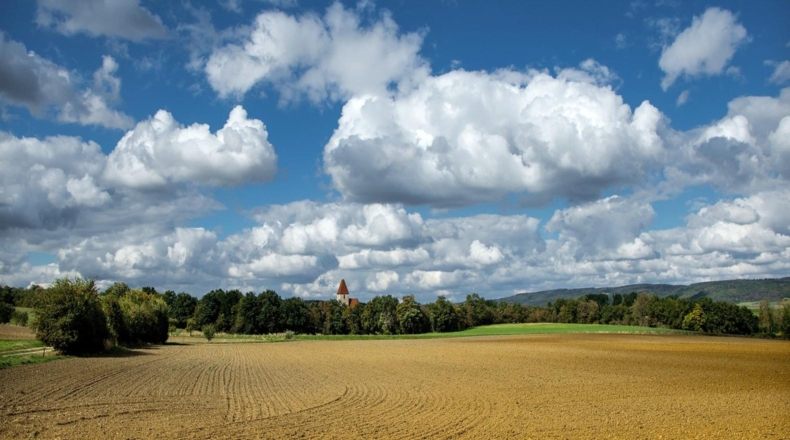 España: país de gran tradición y valor agrícola