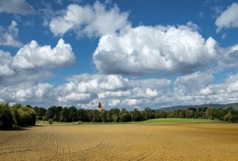 España: país de gran tradición y valor agrícola