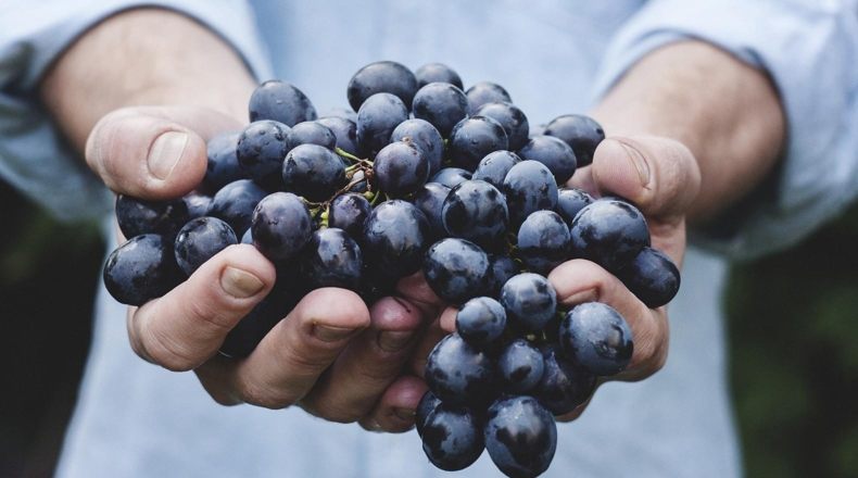 Agricultura de precisión o cómo pronosticar las cosechas