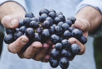 Agricultura de precisión o cómo pronosticar las cosechas