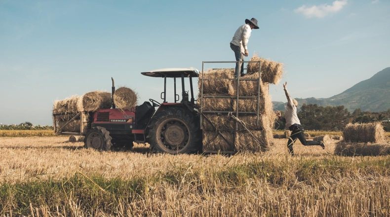 Ayudas y subvenciones de agricultura y ganadería para emprendedores