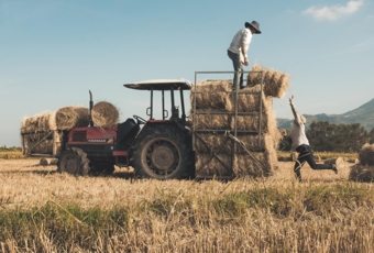 Ayudas y subvenciones de agricultura y ganadería para emprendedores