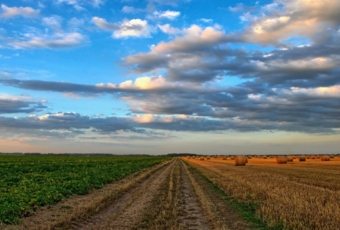 Tierra fértil en España ¿Qué regiones tienen más extensión?