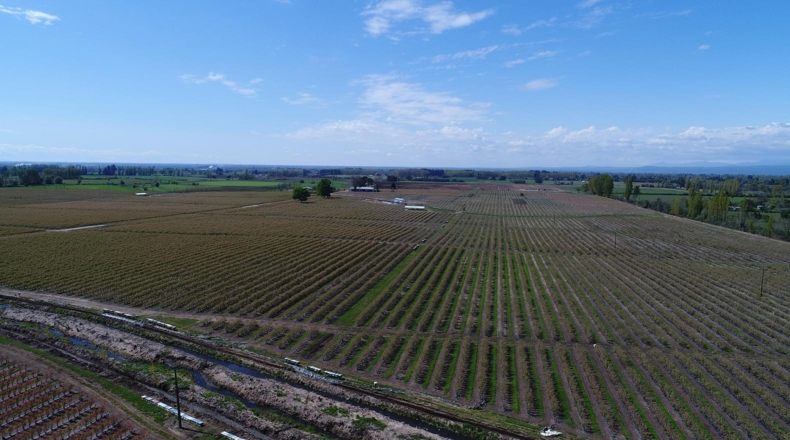 Agricultura 4.0 ¿Qué es esta nueva tendencia?